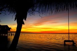 Yesterdays sunset. Roatan, Honduras. by Shawn Jackson 